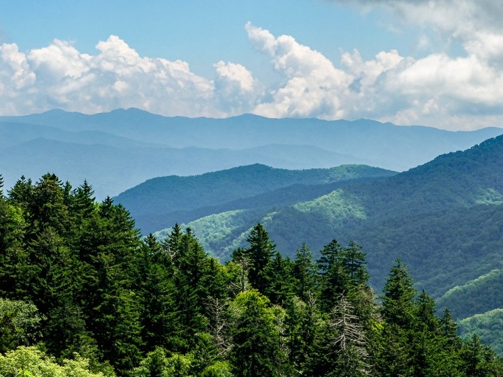 4 jours au vert dans les Great Smoky&nbsp;Mountains